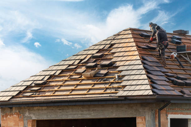 Best Roof Moss and Algae Removal  in Wakeeney, KS