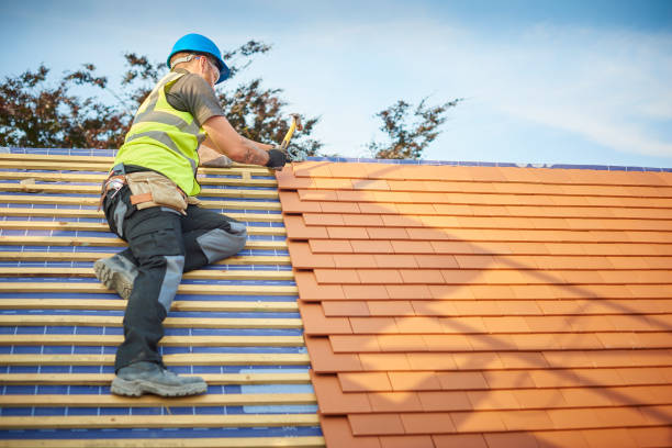 Best Metal Roofing Installation  in Wakeeney, KS